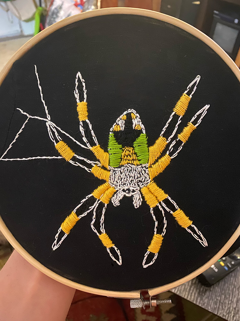 a photo an embroidery of a golden orb weaver, a large yellow true spide, sitting in the beginnings of a web. The embroidery is on a piece of cotton fabric and is spread out in an embroidery hoop